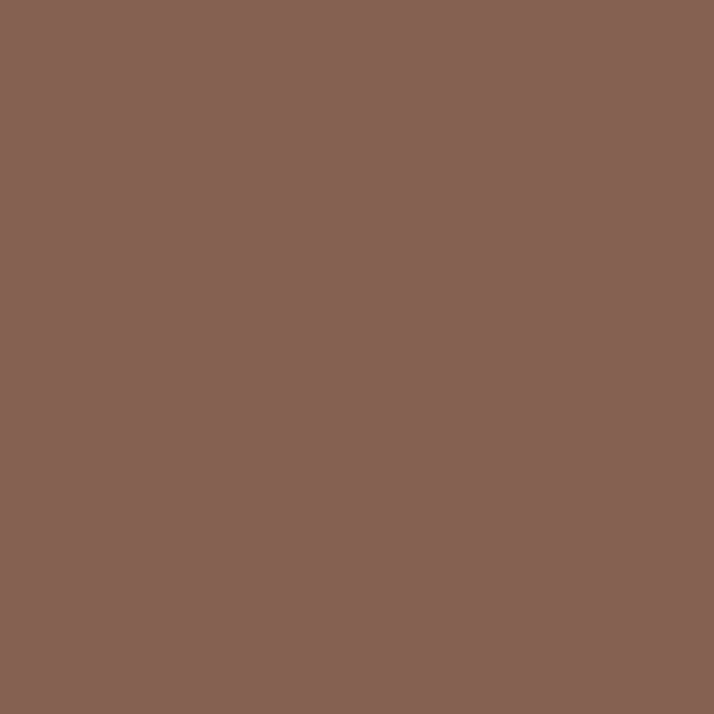 CC-484 Hot Chocolate - Paint Color | White's Paint