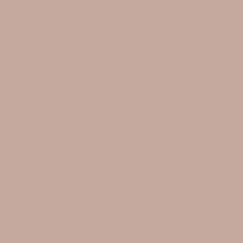 2099-50 Café Mocha - Paint Color | White's Paint