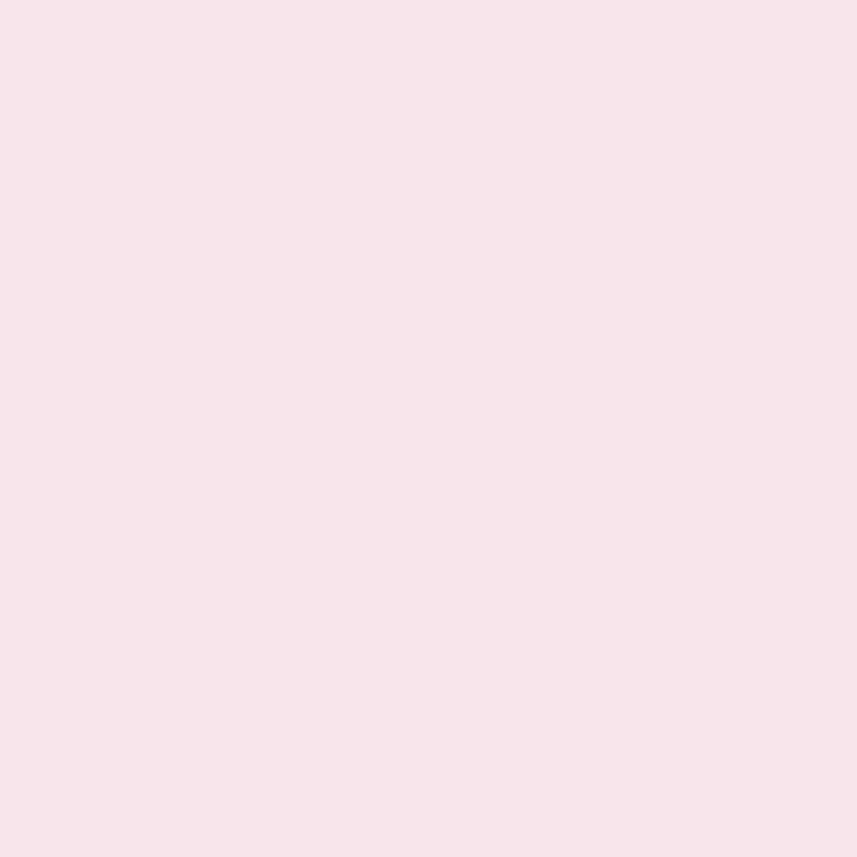 サングラス ^ONE BRILLIANT^ TimothyOB478Pink Timothy-OB478-Pink Designer fashion, Seoul-fully created | W Concept