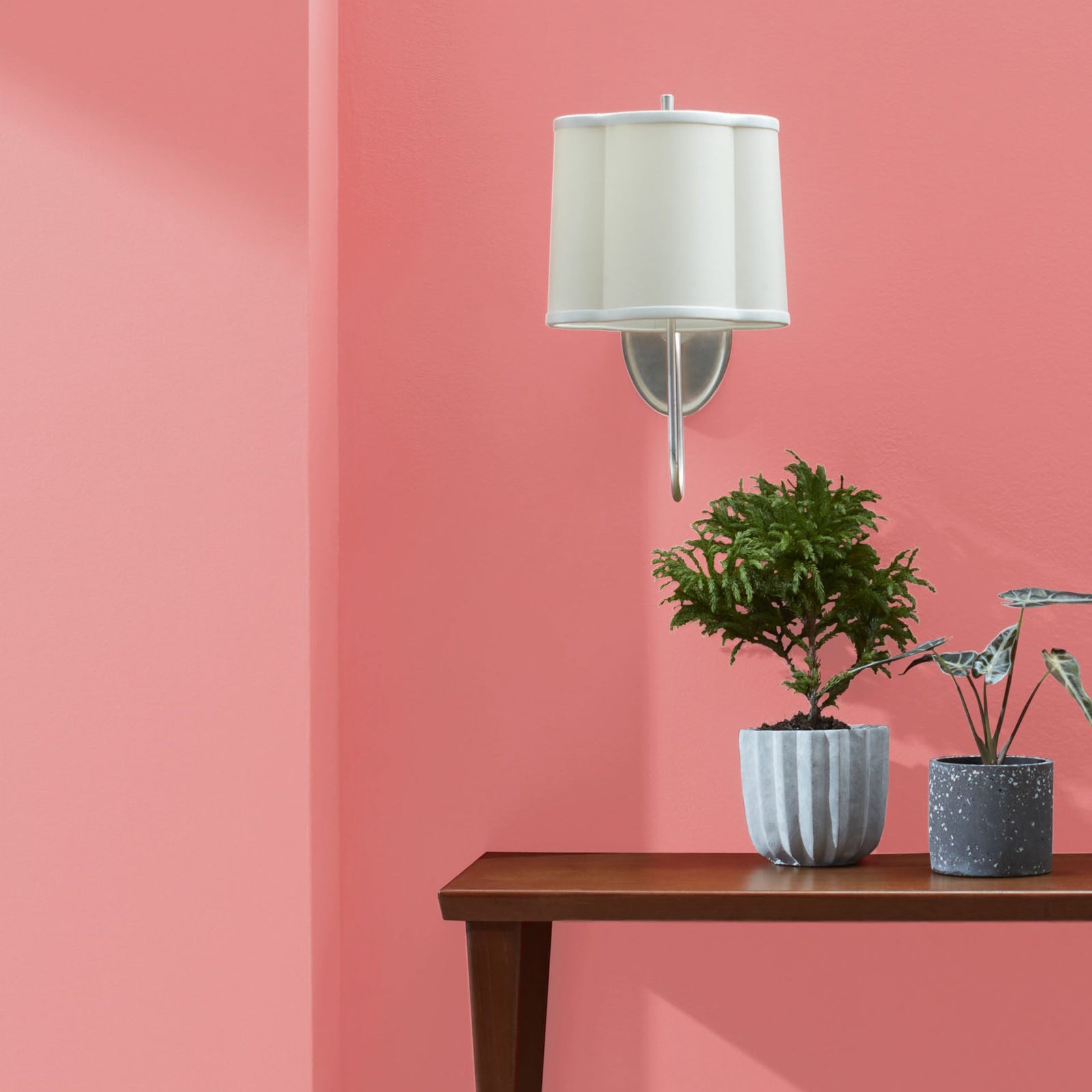 2009-40 Pink Peach - Paint Color | White's Paint